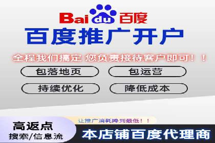 精准投放，高效转化——网站sem托管的胜利案例